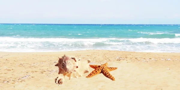 A beach around noon
