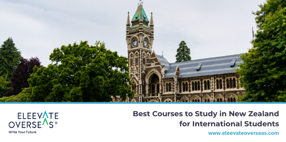 Best Courses New Zealand Education Consultants help students explore career-focused programmes and study opportunities
